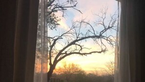 A window with sheer curtains, a bed with a quilt, and a view of a grassy field with trees and a sunset. - El Descanso (Colon)