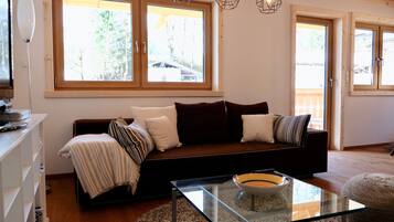 TV, fireplace, DVD player, books