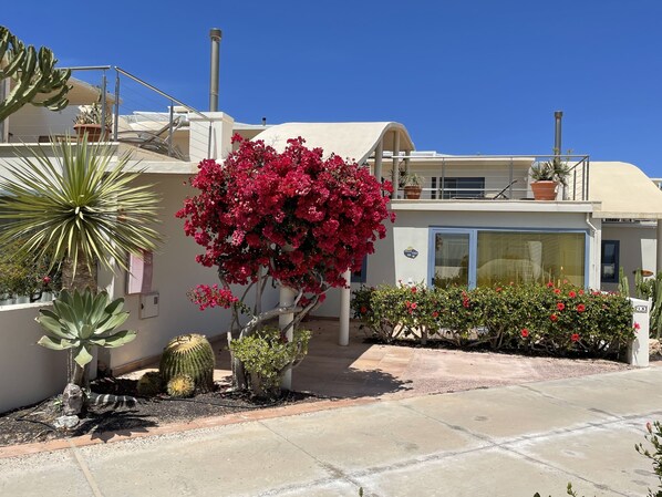 A hotel with a modern design, featuring a rooftop terrace, a variety of potted plants, and a clear blue sky. - Large bungalow w/private pool, few min. from the sea, protected inner courtyard. (Kanarische Inseln)