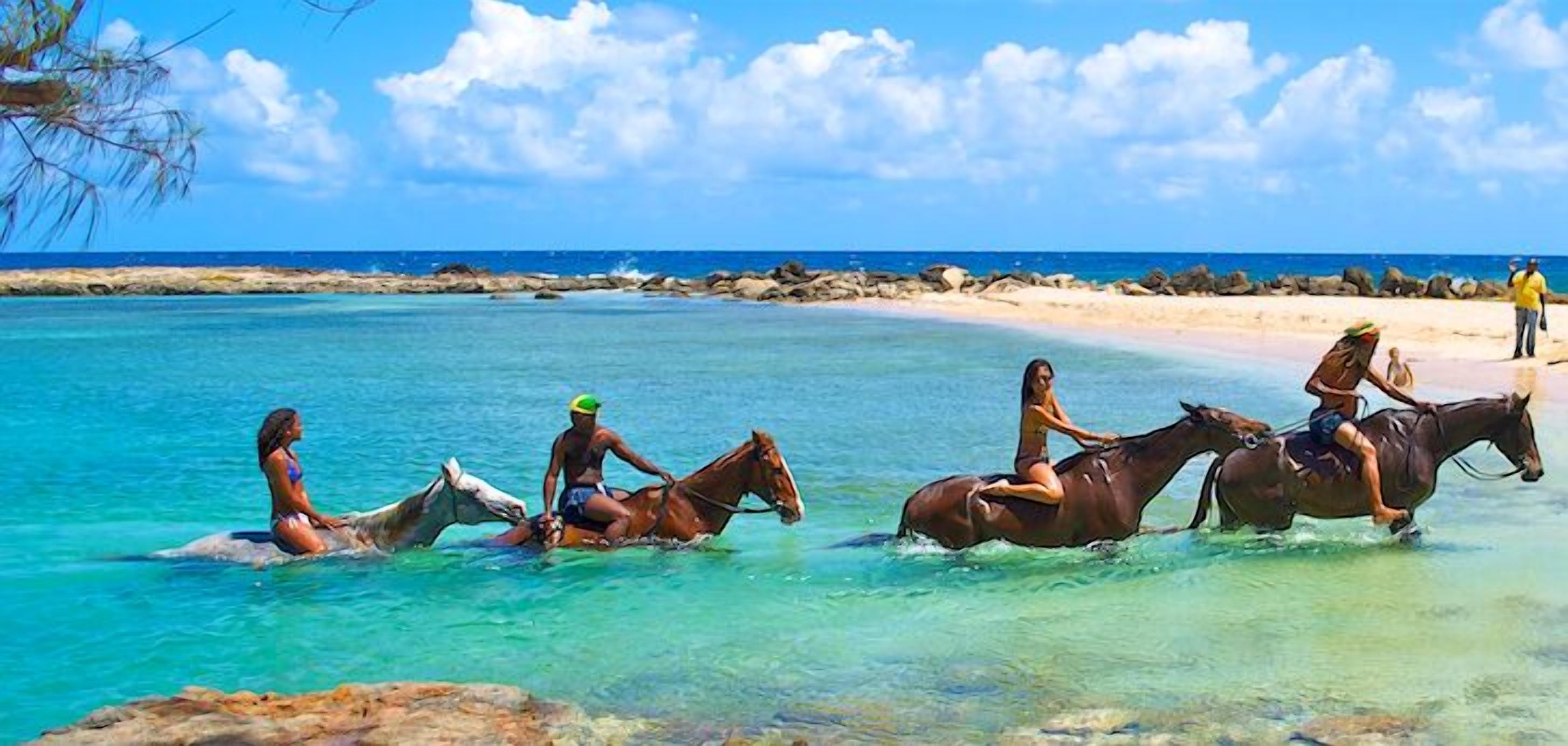 Des personnes à cheval dans une eau peu profonde, près d’une plage.