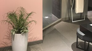 Een moderne badkamer met een glazen douchecabine, een plant in pot, een handdoekhouder en een zwart aanrecht.