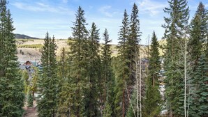 Un espace de stationnement délimité par une clôture en bois, entouré de grands arbres à feuilles persistantes.