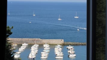 Family Apartment, 2 Bedrooms, Kitchen, Sea View | View from room
