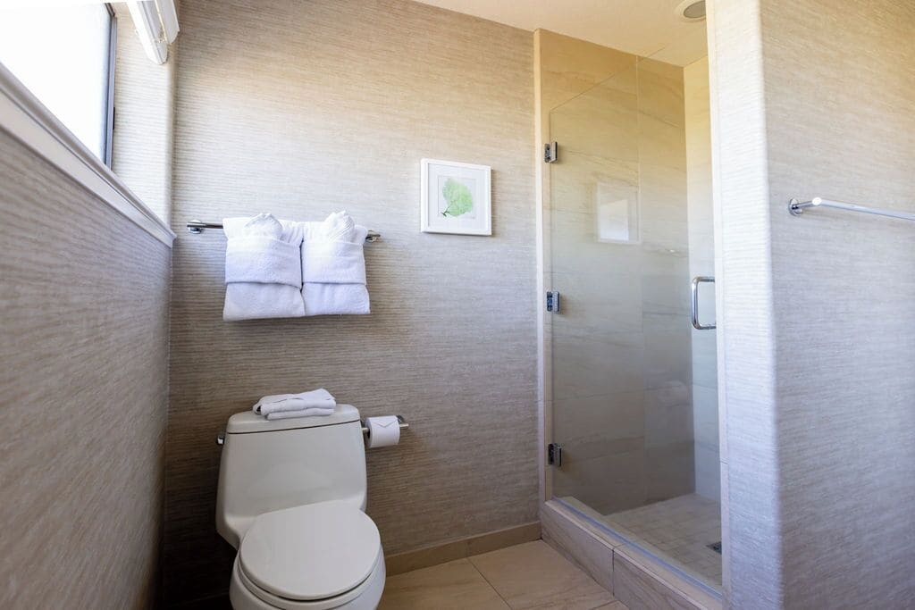 Une salle de bain comprenant des toilettes, un porte-serviettes avec des serviettes, un tableau encadré au mur et une douche séparée par des parois en verre.