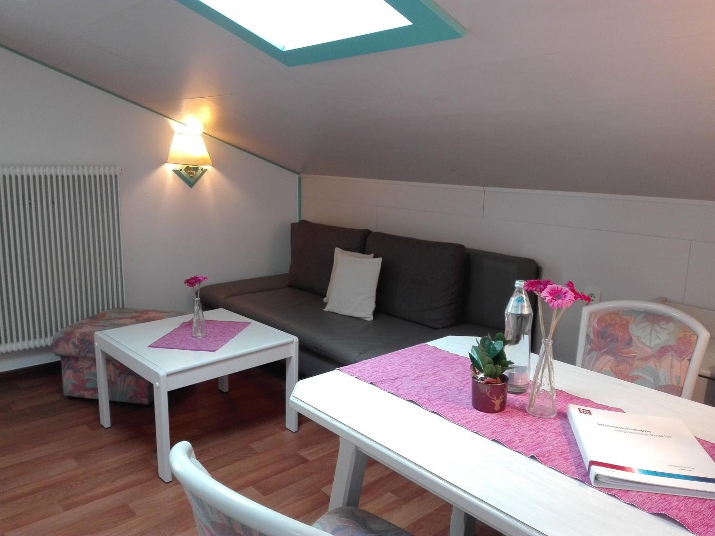 Una habitación acogedora con sofá, una mesita, una silla, un radiador y un tragaluz.