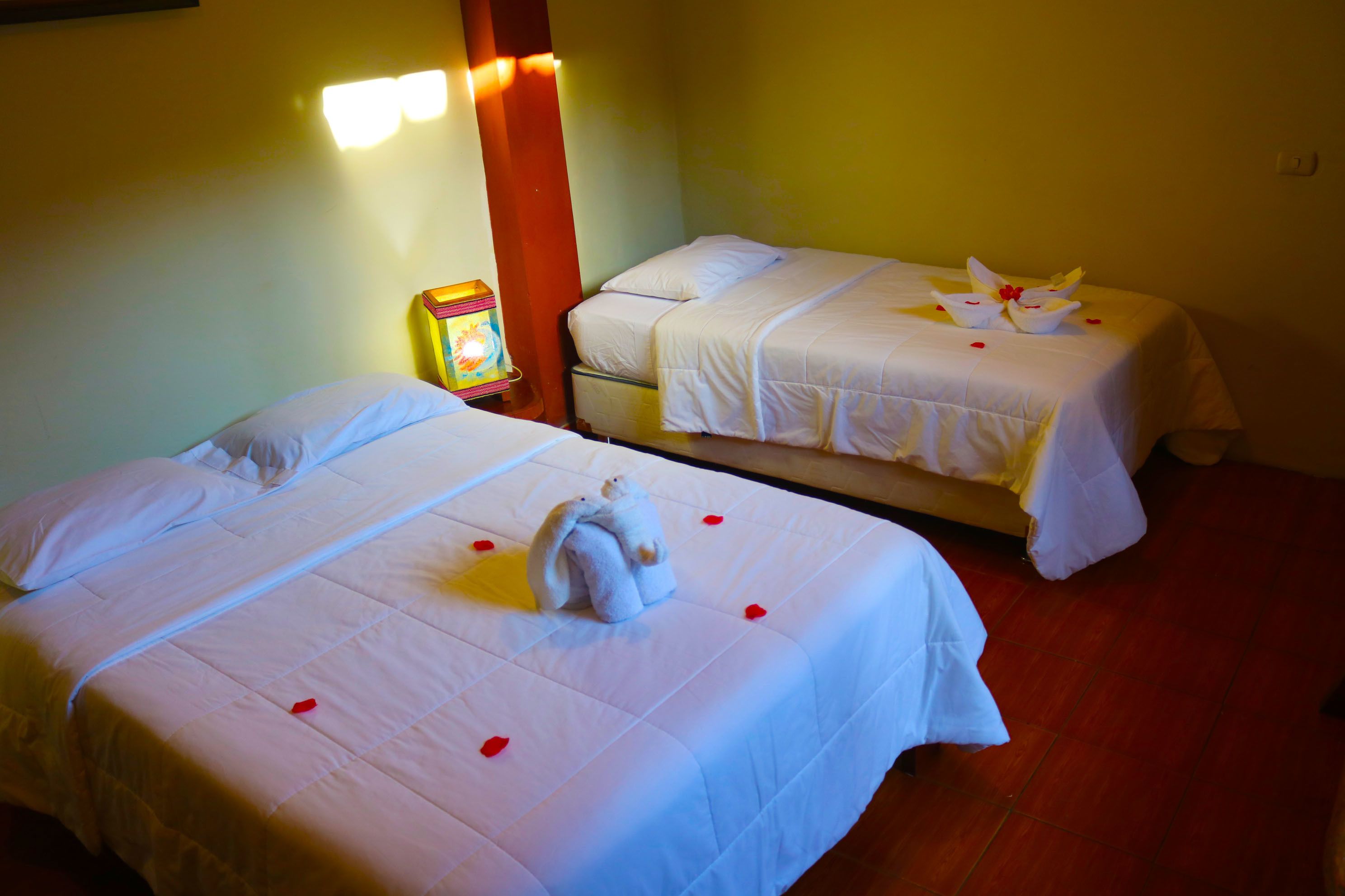 Two single beds with white linens and rose petals, a nightstand with a lamp, and a wall-mounted light fixture.