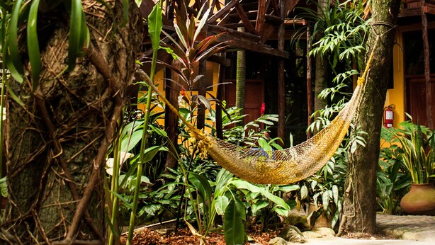 A hammock between trees, a wooden sign with 'RECEPTION' and 'Suchliche' text, and a rustic building with a tiled roof. - La Patarashca Hotel (Tarapoto)