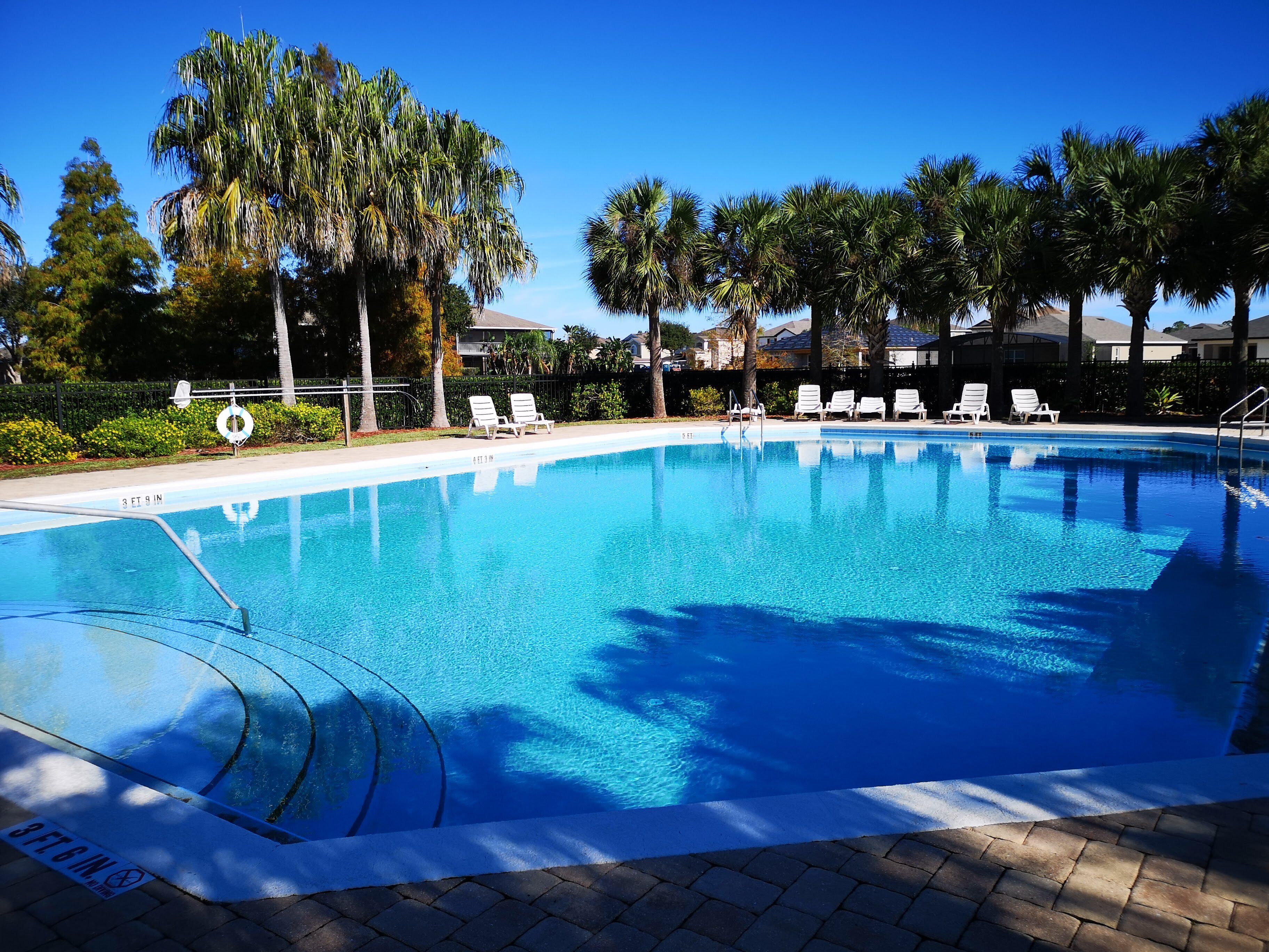 A clear blue swimming pool with lounge chairs and palm trees.