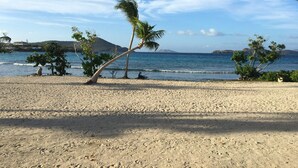 A beach with palm trees and a clear view of the ocean. - Corner Villa with Stunning Sapphire Bay Views – Sleeps 6 w/Backup Generator. (St Thomas)
