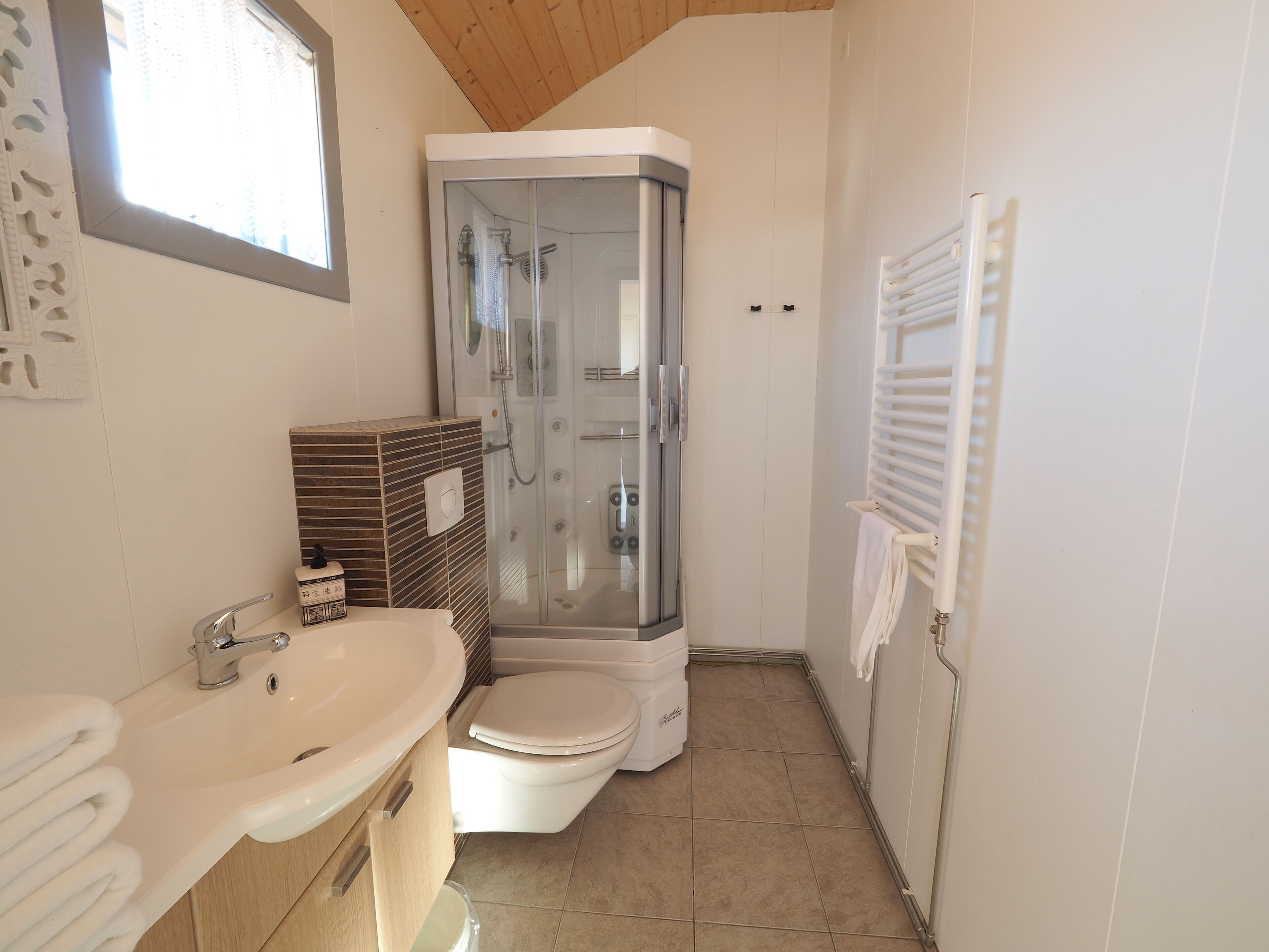 Shower, hair dryer, towels