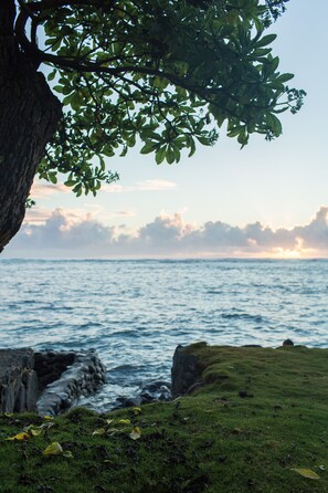On the beach, sun-loungers, beach towels - Oceanfront Romantic Couple's Getaway with Private Beach w/ Full Living Amenities (Hauula)