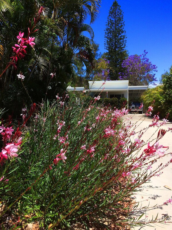 Áreas de la propiedad