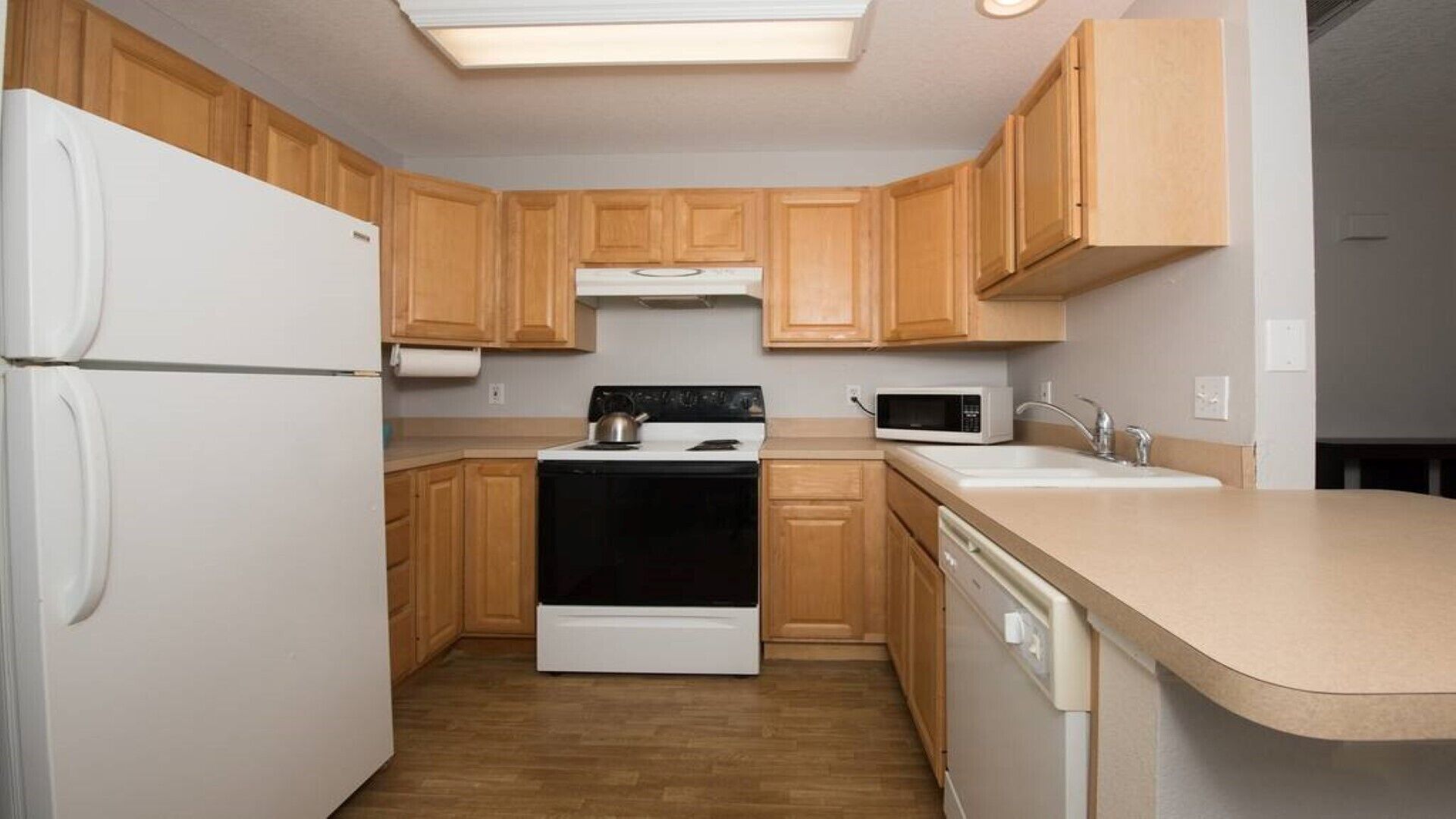 Microondas, horno, placa de cocina, lavavajillas