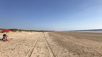 Chaises longues, serviettes de plage
