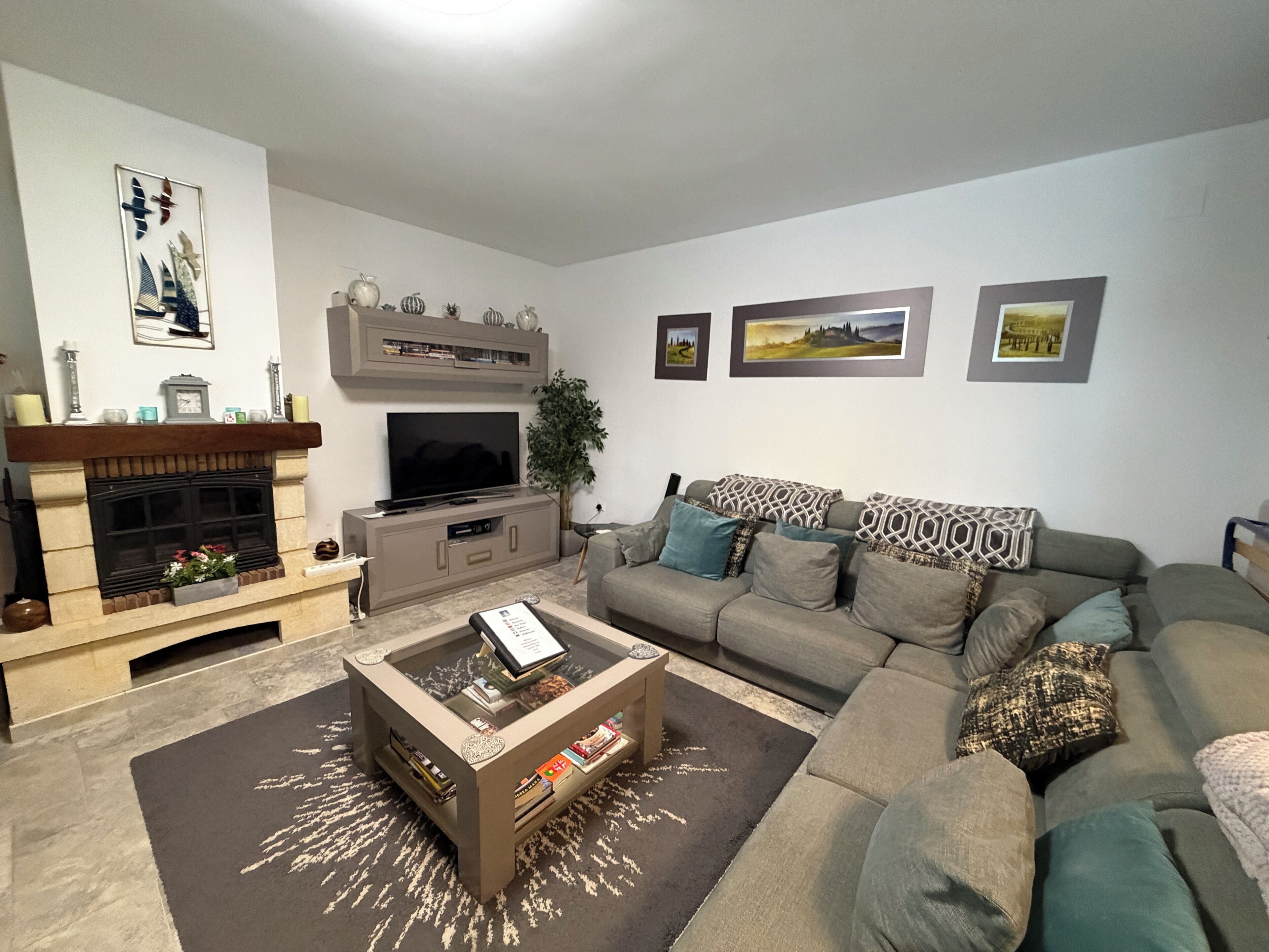 Una Smart TV, una chimenea, un reproductor de DVD, libros