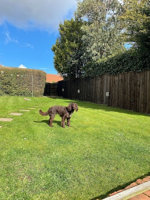 Property grounds - Beautiful Seaside Cottage, sleeps 5 & dog friendly   (Sewerby)