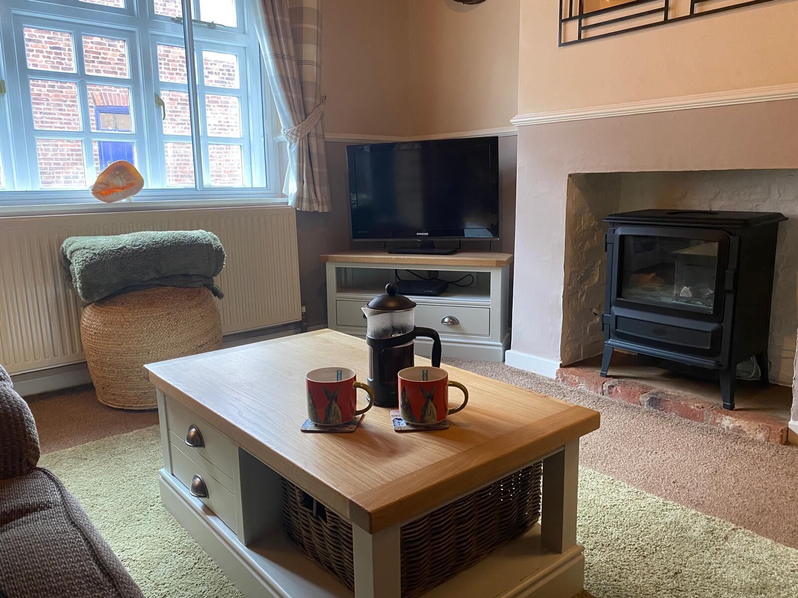 电视、DVD 播放器、书