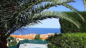 A view of a swimming pool with a curved edge, surrounded by lush greenery and palm trees. - Apartment/ flat - Collioure (Collioure)
