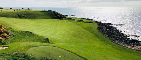Un parcours de golf situé sur la côte, offrant une vue dégagée sur la mer, un phare et une île lointaine.