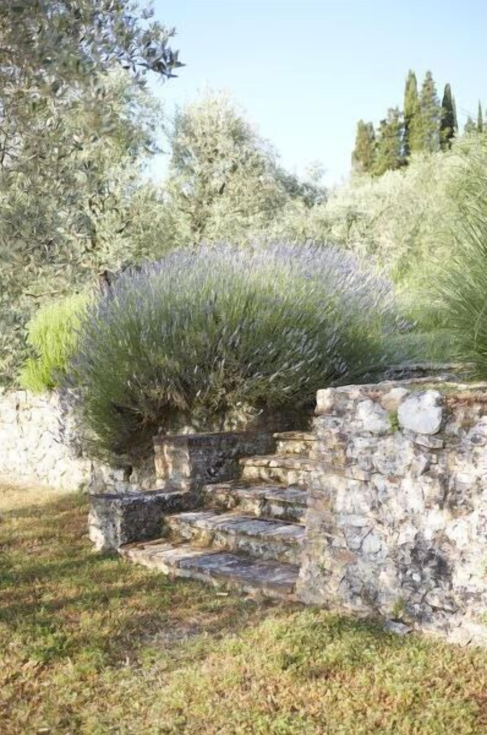 A stone wall with steps leading up to a bushy area, surrounded by trees and grass.