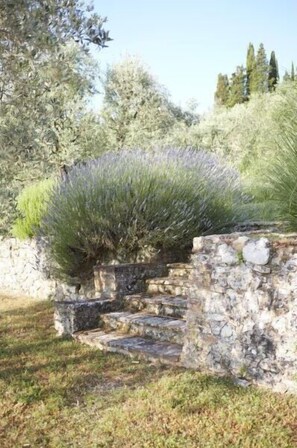 Un mur de pierre avec des marches menant à une zone couverte de végétation, entourée d’arbres et d’herbe.