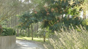 Un camí a través d'una zona boscosa, amb una tanca de fusta d'un costat i herba alta de l'altre.