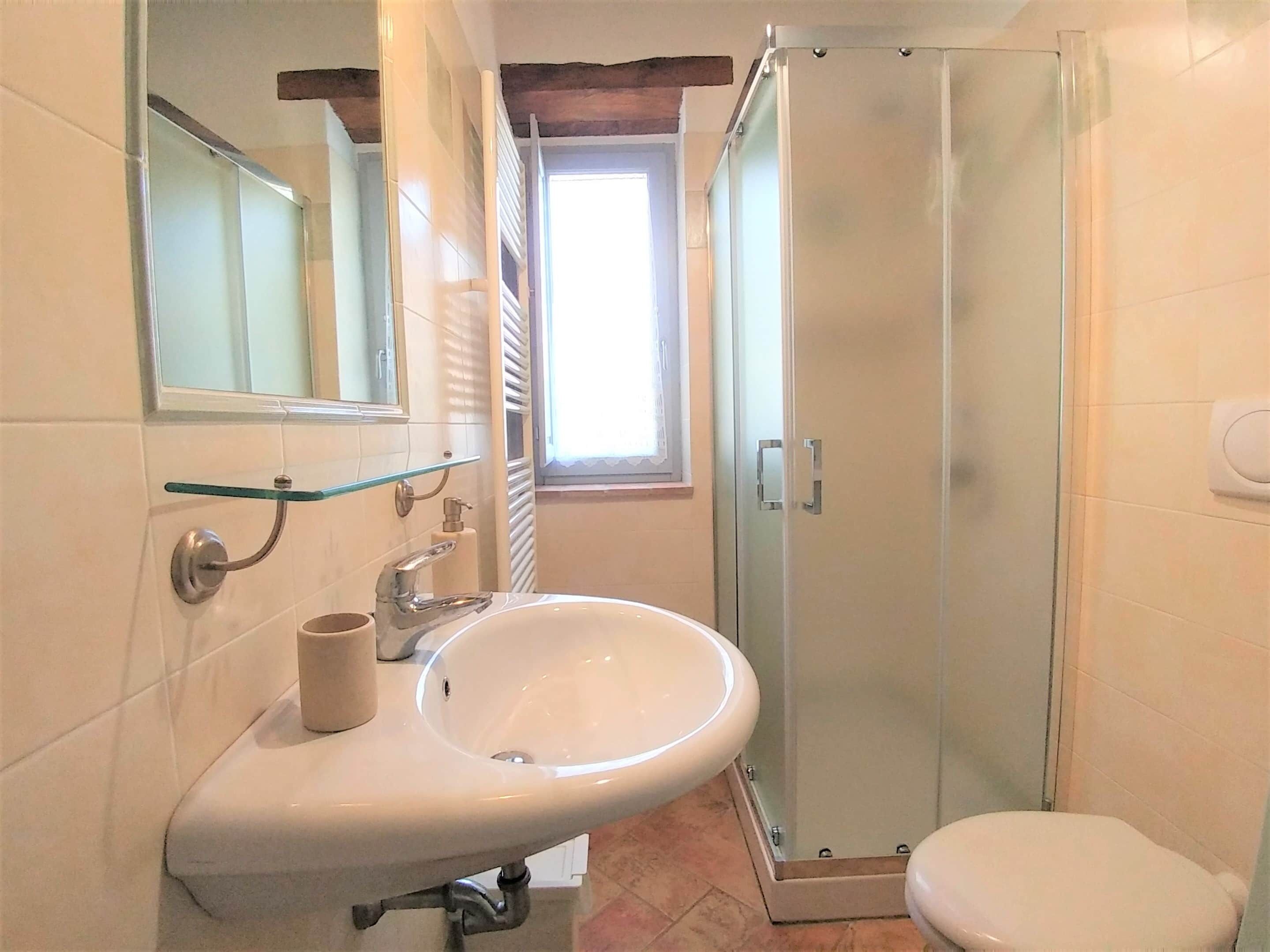 A bathroom with a glass shower enclosure, a sink with a mirror, and a toilet.
