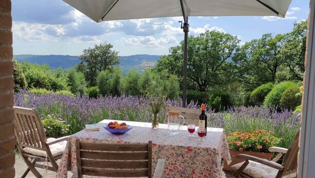 Unclassified image, 1 of 23, button - Capitorio: quiet rural spot, aromatic garden, great views (Roccalbegna)