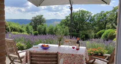 Capitorio: quiet rural spot, aromatic garden, great views