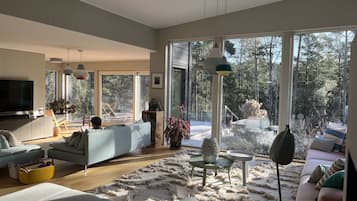 TV, fireplace, video games, DVD player