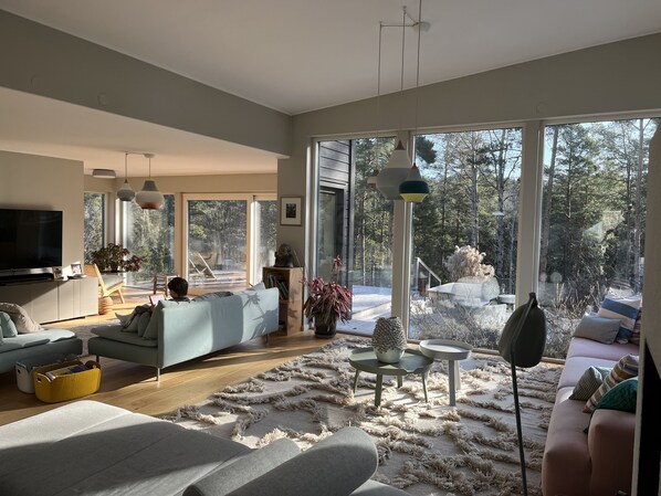 TV, fireplace, video games, DVD player