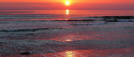 Vlak bij het strand