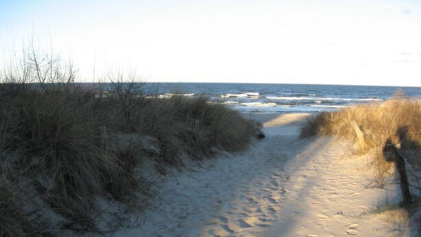 A sandy beach path leading to the ocean with sparse vegetation.
