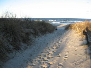 A sandy beach path leading to the ocean with sparse vegetation.