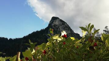 A mountain with a prominent peak, surrounded by greenery and a wooden fence.
