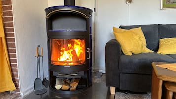 TV, peis, bøker og stereoanlegg