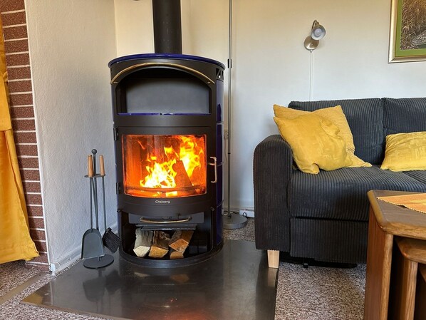 Fernseher, Kamin, Bücher, Stereoanlage