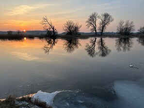 Niet-geclassificeerde afbeelding, 5 van 15, knop