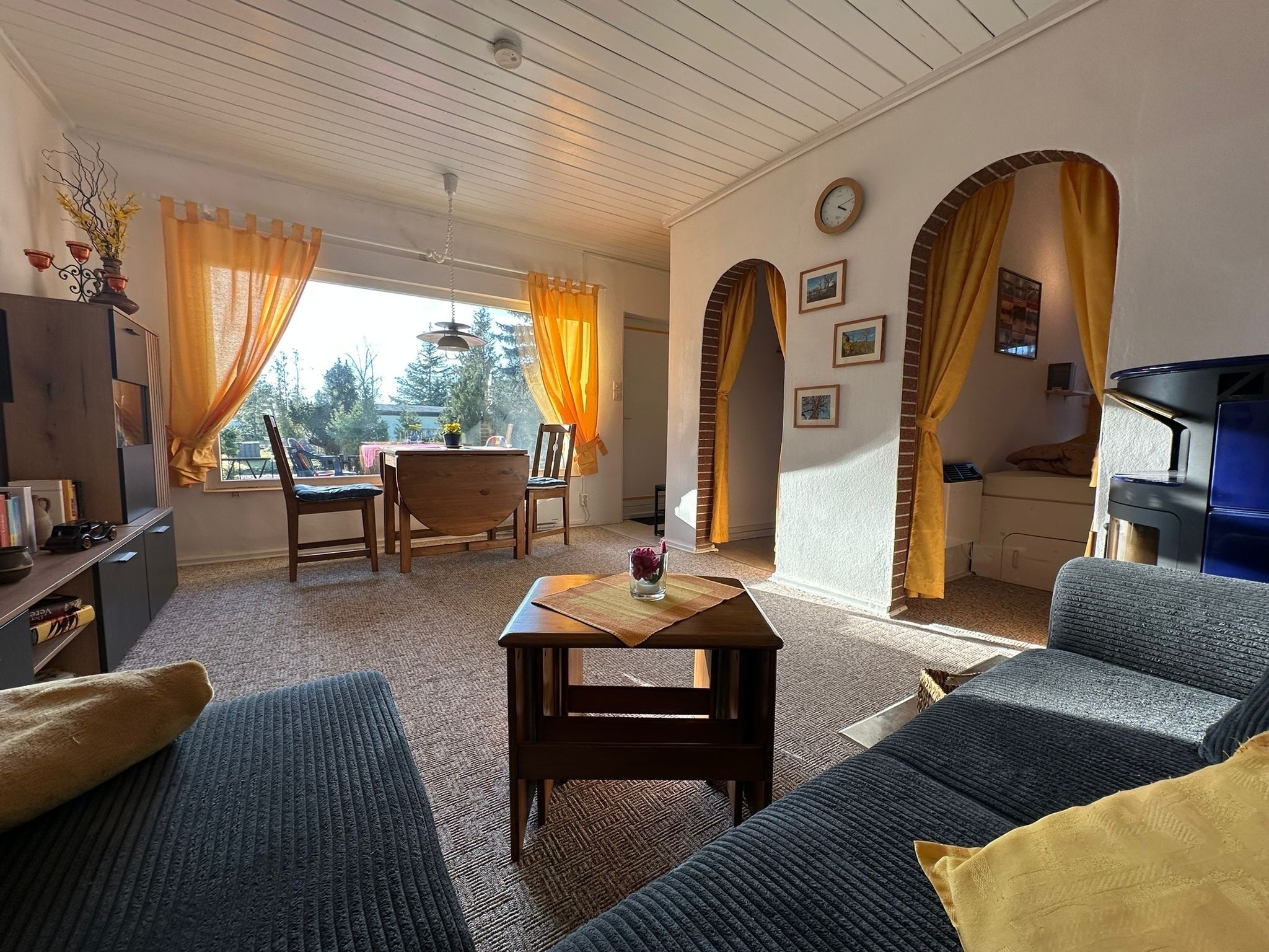 Télévision, cheminée, livres, chaîne hi-fi