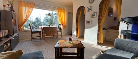 テレビ、暖炉、書庫、ステレオ