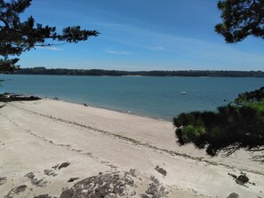 A beach with clear water, a sandy shore, and trees in the foreground.