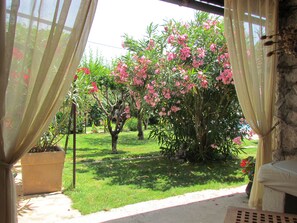 Property grounds - Character house for 12 people, PRIVATE POOL (Lussas)
