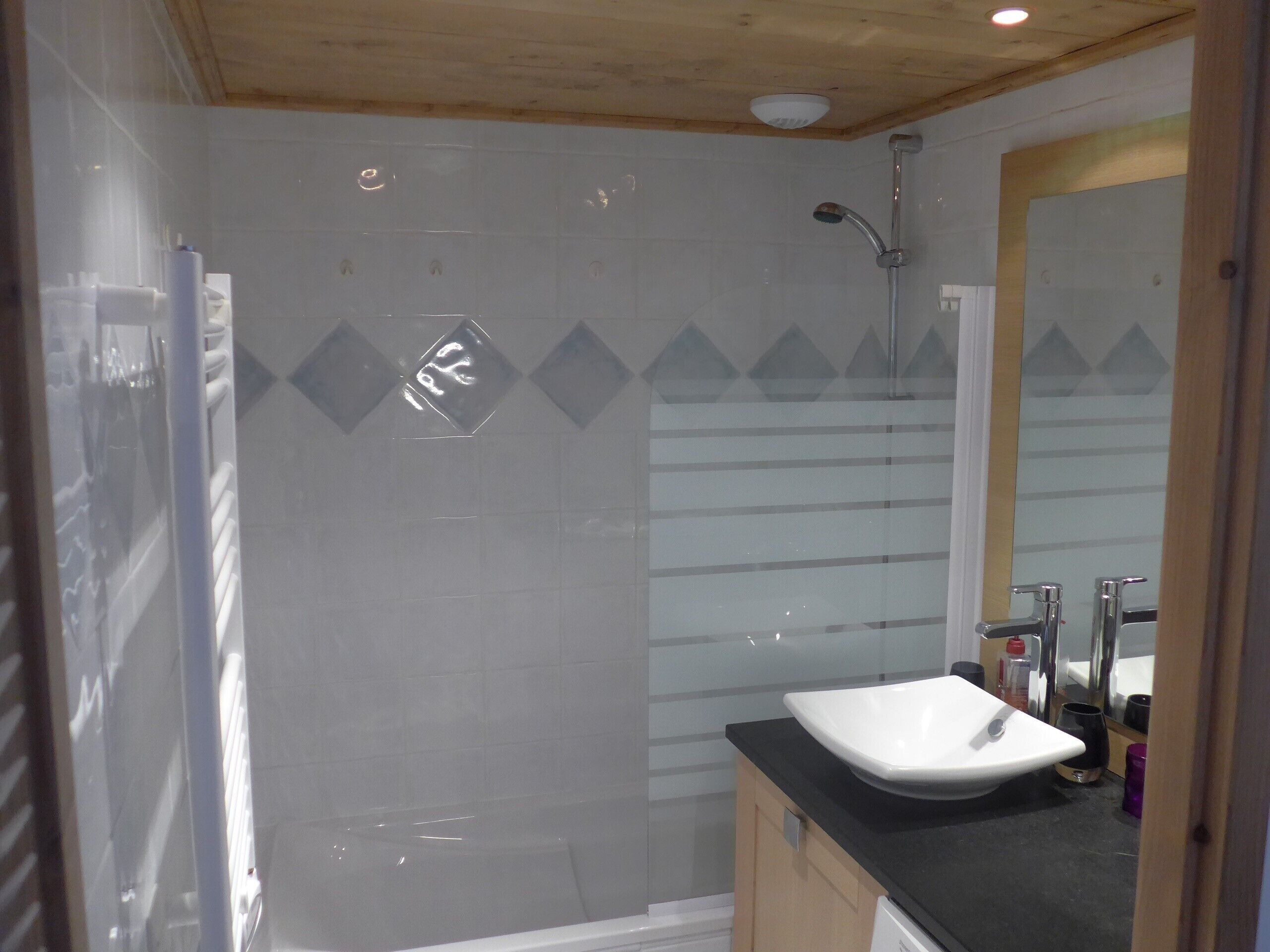Een badkamer met een douche, een wastafel en een spiegel.