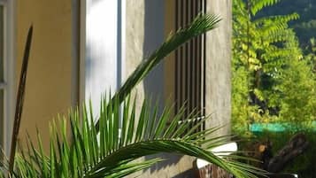 Detalle del exterior
