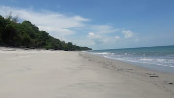 Playa en los alrededores