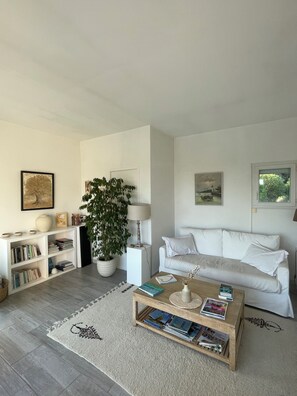 TV, table tennis, books, stereo