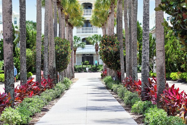 A pathway lined with palm trees and red-leafed plants, leading to a building with a balcony.