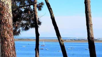 Una spiaggia nelle vicinanze