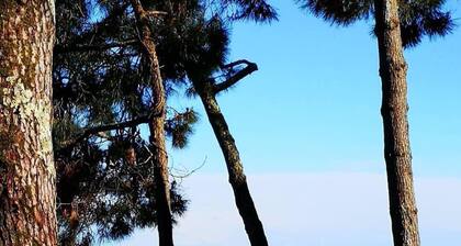 OHA ONE - On the Arcachon basin, between the Pyla dune and Cap Ferret