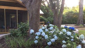 Un jardin agrémenté de buissons d’hortensias et d’une structure en bois dotée d’une fenêtre.
